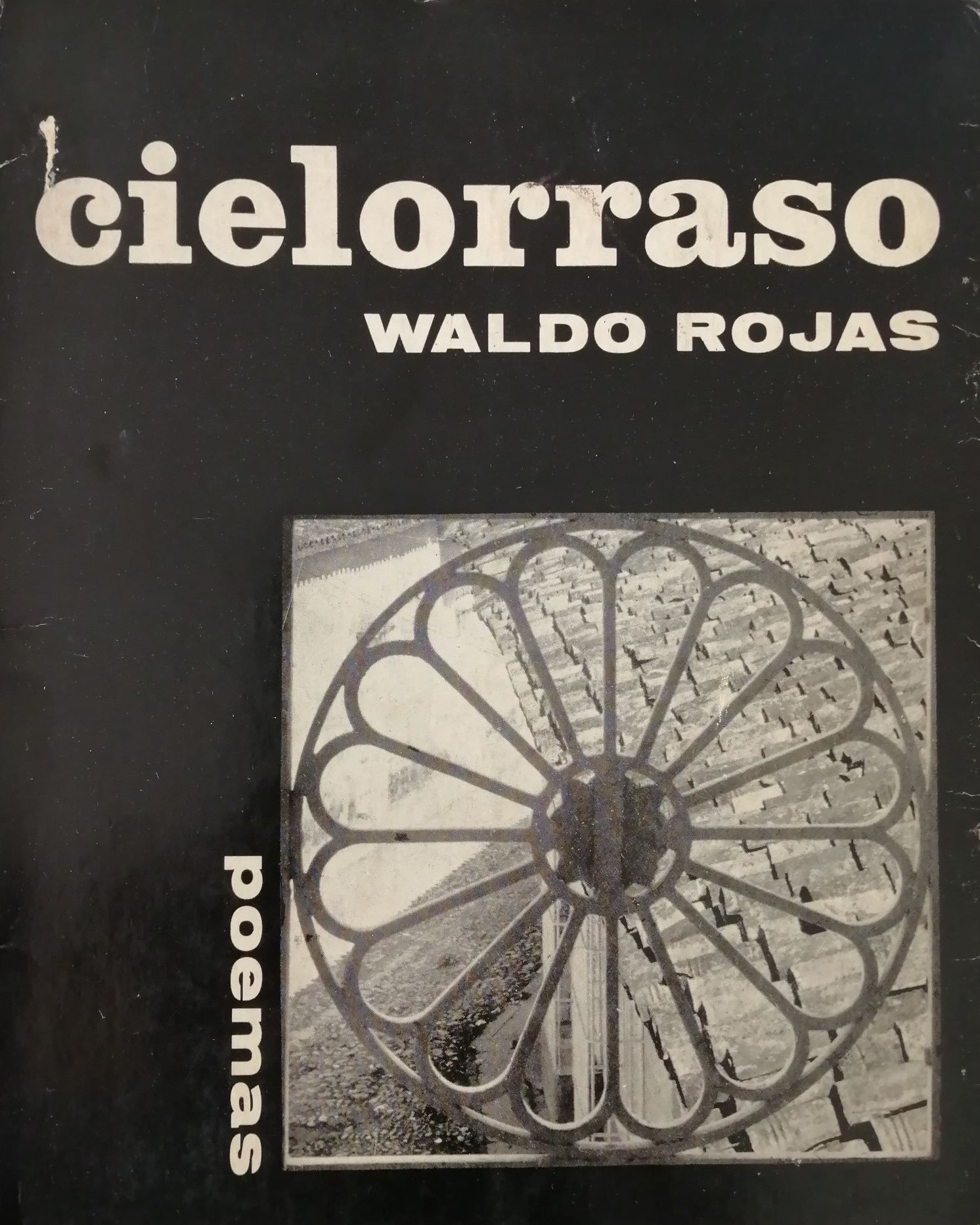 Waldo Rojas - Cielorraso 