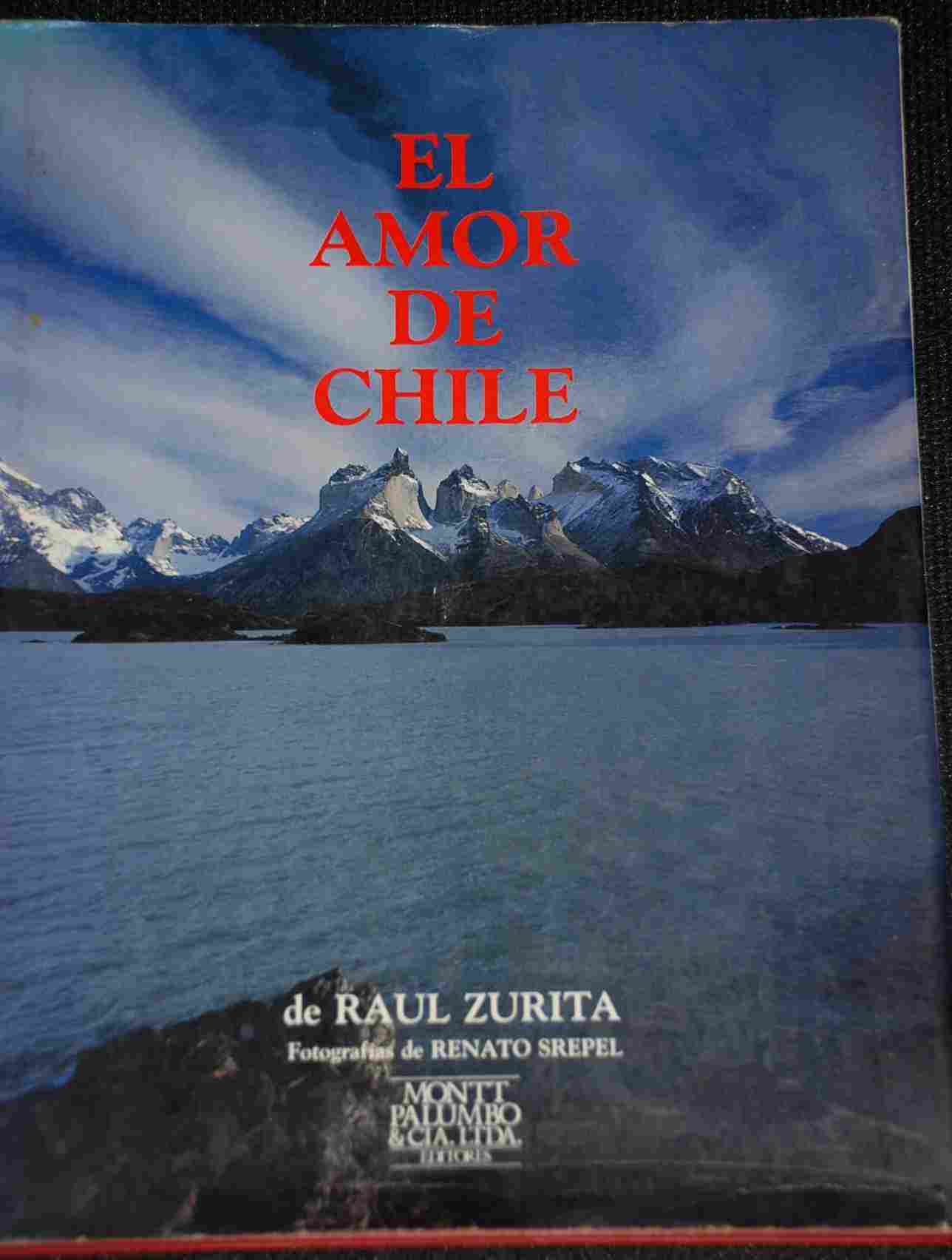 Raul Zurita - El Amor de Chile