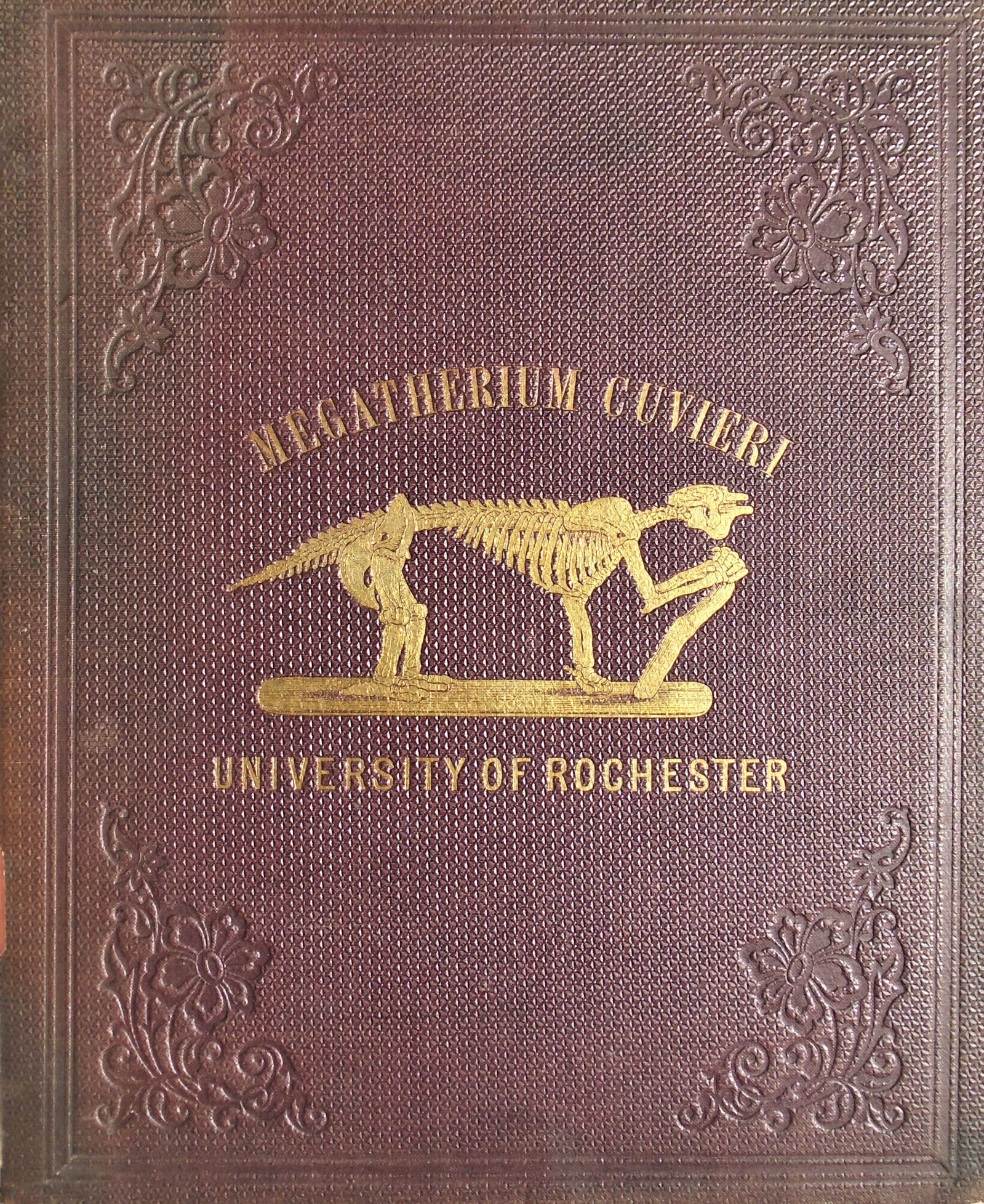 Henry A. Ward - Notice of the Megatherium Cuvieri