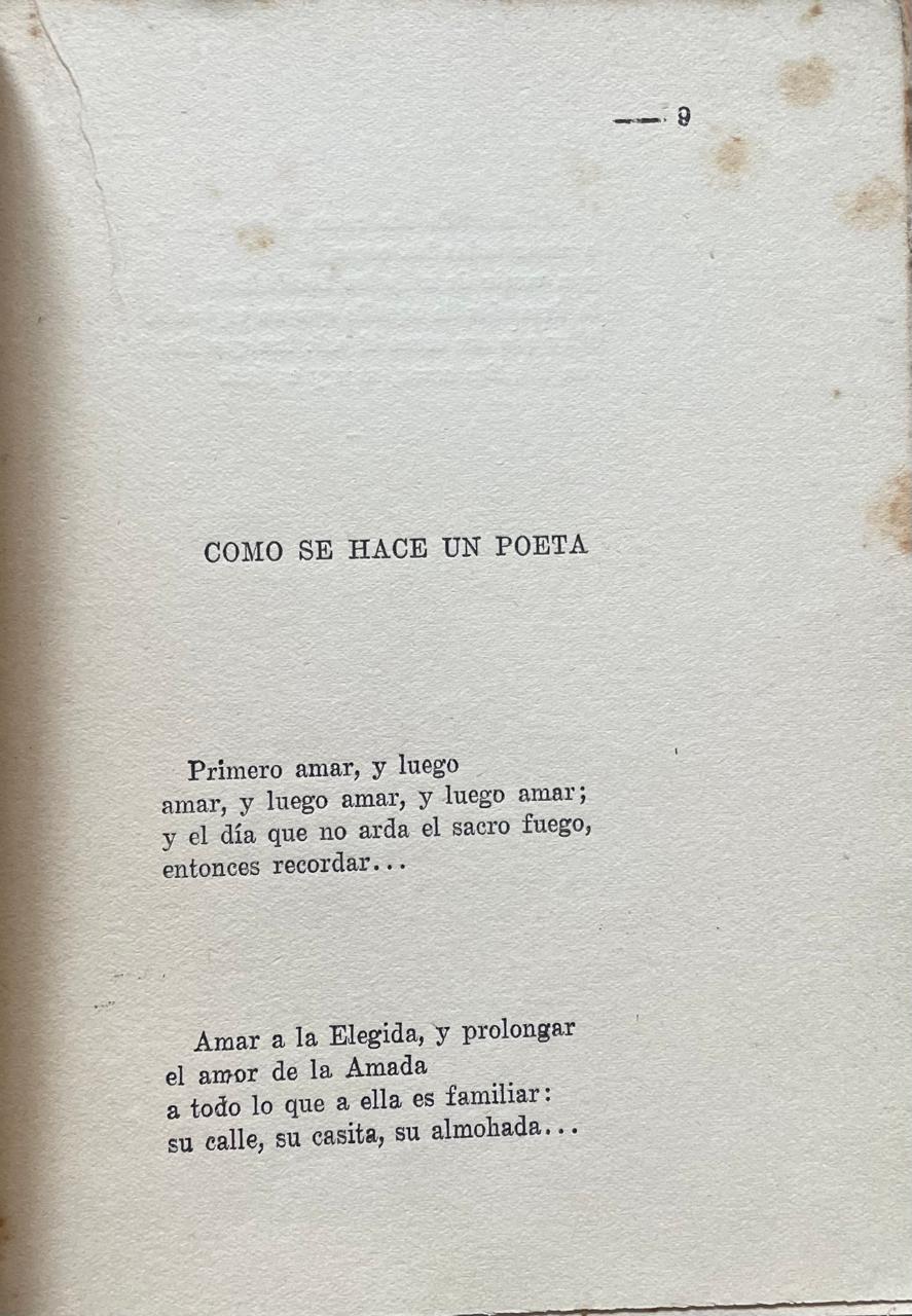 Gustavo Riccio 	Un poeta en la ciudad 