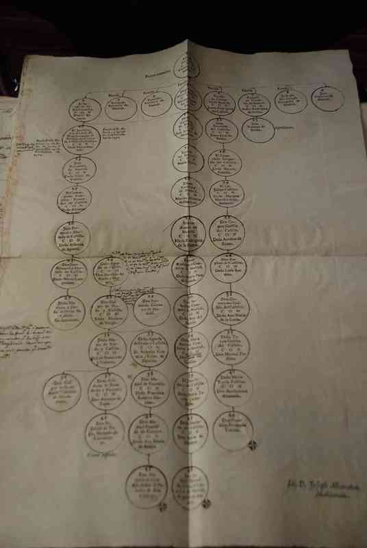 Información de la Nobleza de Don Mariano y Don Antonio Salvatierra Naturales de la Imperial Ciudad e Toledo,practicada a Instancia de Doña Faustina Barriales, su madre en el año 1812