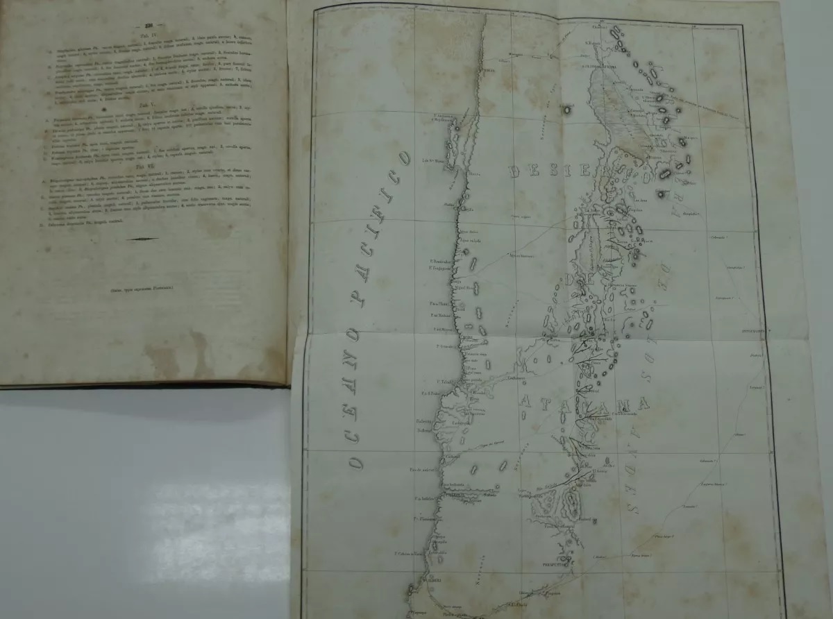 Rodulfo Amando Philippi. Viage al Desierto de Atacama : hecho de orden del gobierno de Chile en el verano 1853-54; publicado bajo los auspicios del Gobierno de Chile.