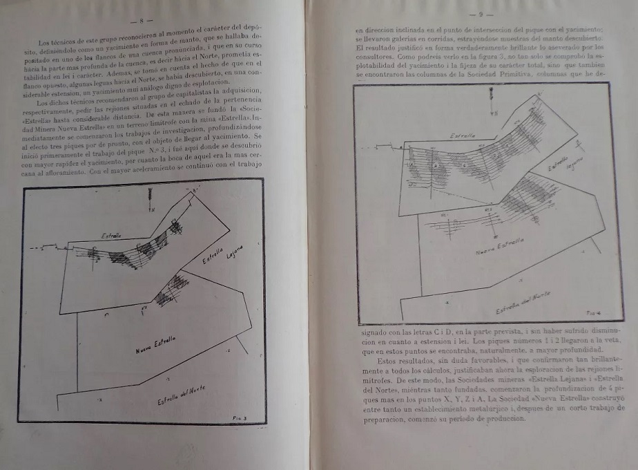 Berthold Koerting. congreso chileno de minas y metalurjia. Informes sobre empresas mineras i las causas de sus frecuentes fracasos.