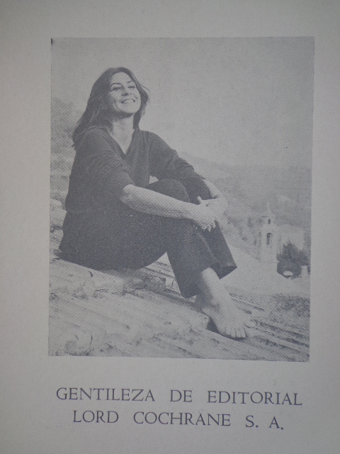 Irene Dominguez  - Los poetas no saben lo que vuelan