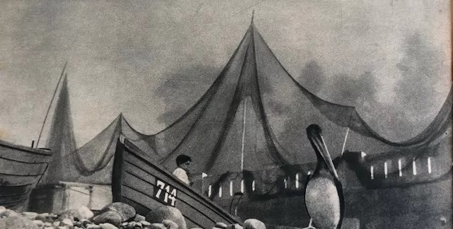 Revista O Cruzeiro Internacional. Sergio Larrain 