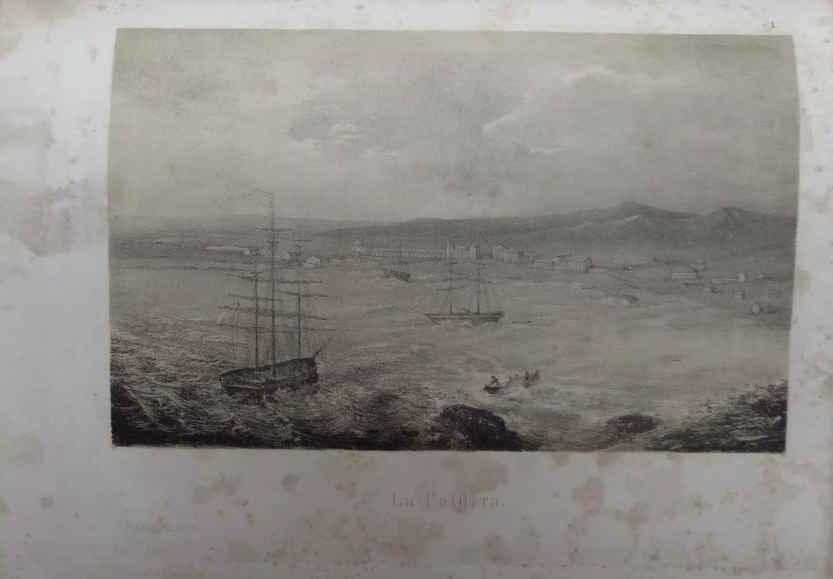 Rodulfo Amando Philippi. Viage al Desierto de Atacama : hecho de orden del gobierno de Chile en el verano 1853-54; publicado bajo los auspicios del Gobierno de Chile.