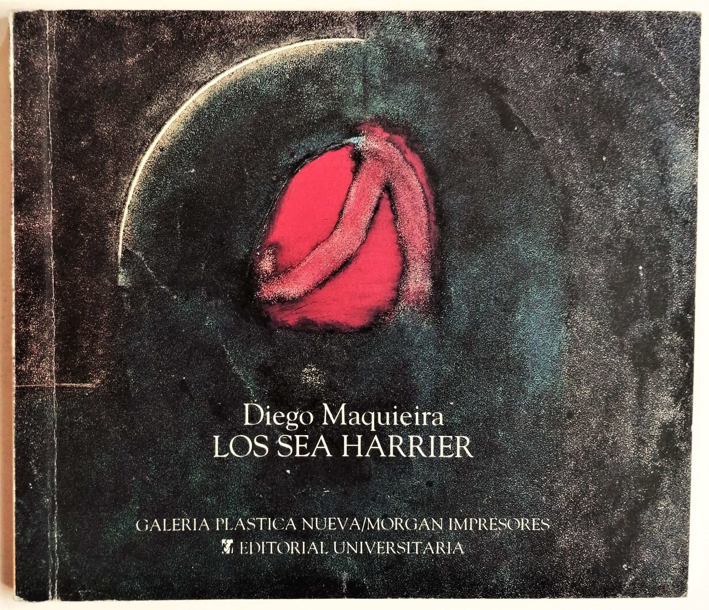 Diego Maquieira - Los sea Harrier
