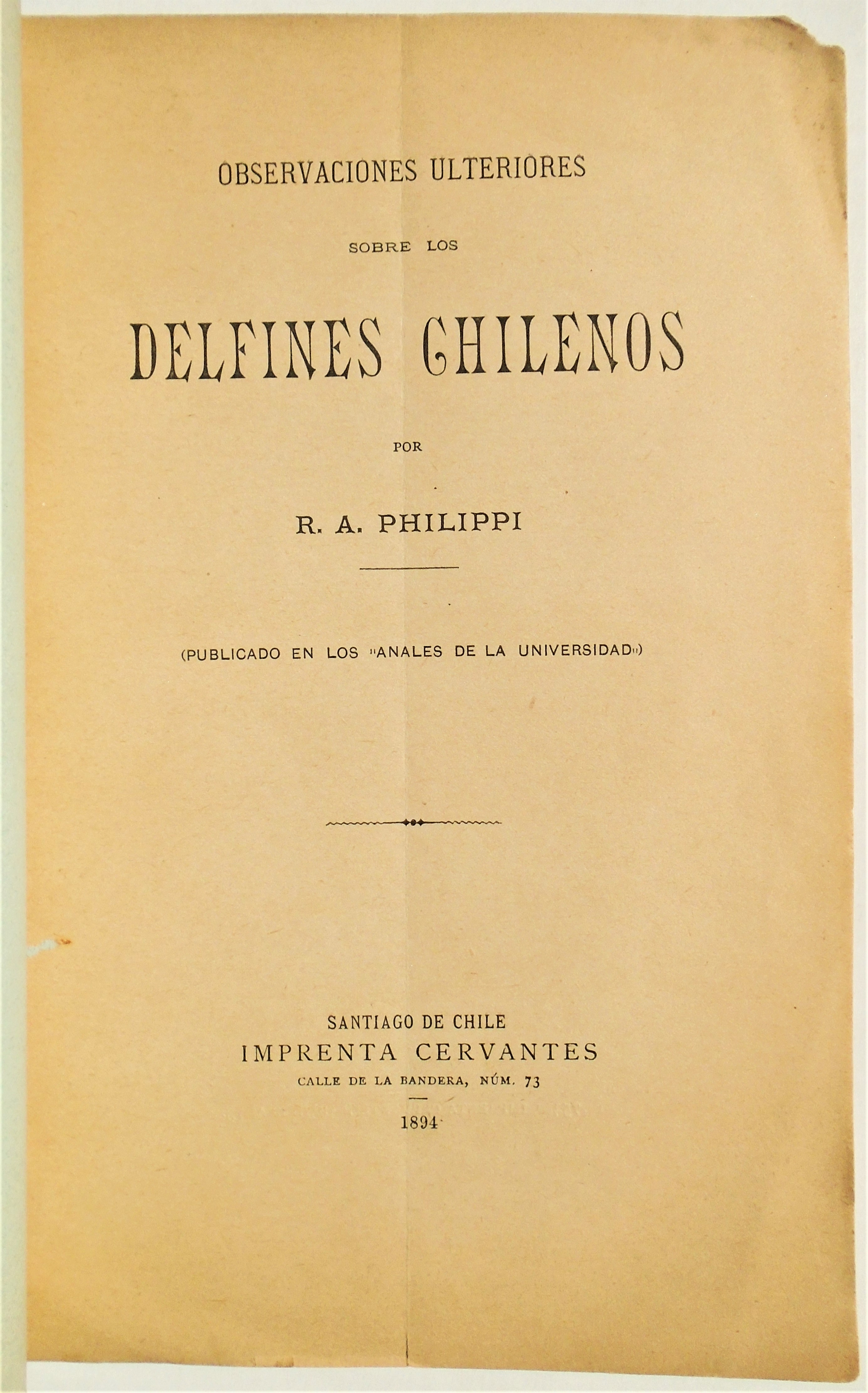 R. A. Philippi - Observaciones ulteriores sobre los delfines chilenos