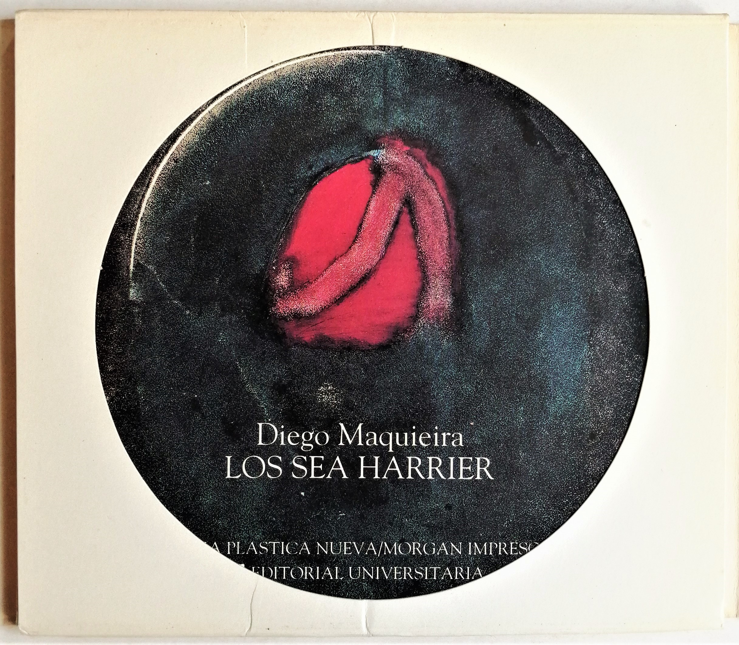 Diego Maquieira - Los sea Harrier