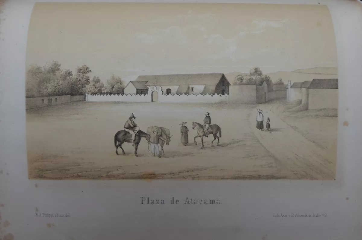 Rodulfo Amando Philippi. Viage al Desierto de Atacama : hecho de orden del gobierno de Chile en el verano 1853-54; publicado bajo los auspicios del Gobierno de Chile.