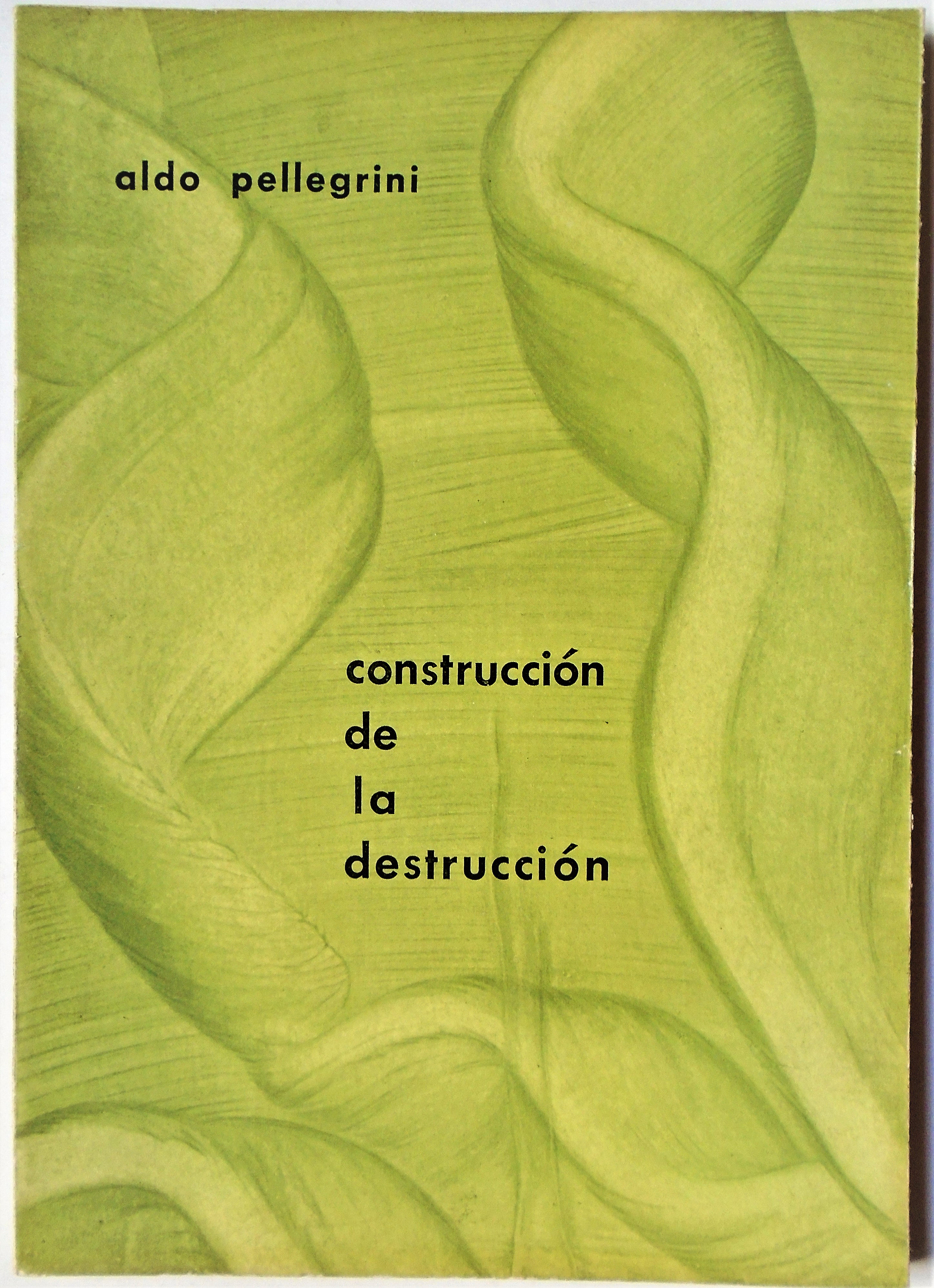 Aldo Pellegrini - Construcción de la destrucción