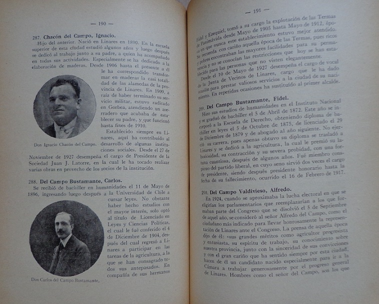 Julio Chacón del Campo. La provincia de Linares